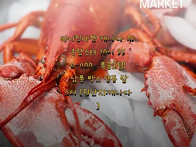 바이킹마켓 캐나다 자숙랍스터 10미  관련 이미지